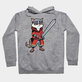 In armor with long sword - raccoon Hoodie